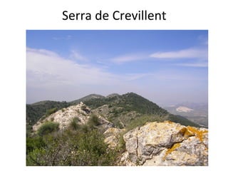 Serra de Crevillent
 