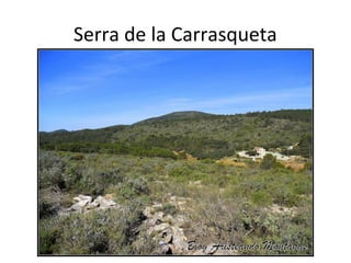 Serra de la Carrasqueta
 