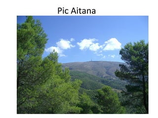 Pic Aitana
 