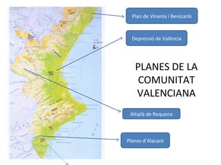 PLANES DE LA
COMUNITAT
VALENCIANA
Plan de Vinarós i Benicarló
Depressió de València
Altiplà de Requena
Planes d’Alacant
 