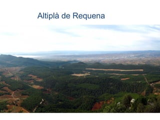 Altiplà de Requena
 