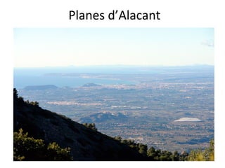 Planes d’Alacant
 