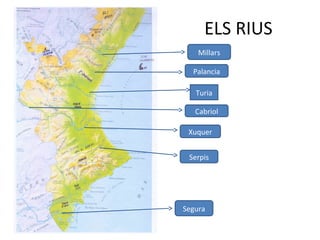 ELS RIUS
Turia
Millars
Palancia
Cabriol
Xuquer
Serpis
Segura
 
