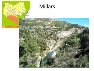 Millars
 