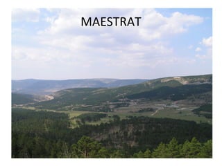 MAESTRAT
 
