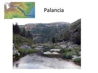 Palancia
 