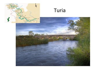 Turia
 