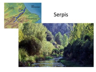 Serpis
 