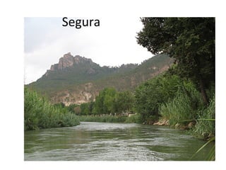 Segura
 