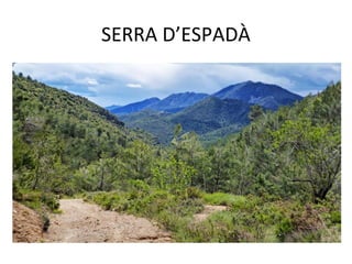 SERRA D’ESPADÀ
 