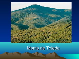 Monts de Toledo

 
