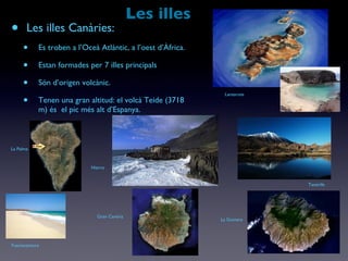 Les illes Les illes Canàries: Es troben a l’Oceà Atlàntic, a l’oest d’Àfrica. Estan formades per 7 illes principals Són d’origen volcànic. Tenen una gran altitud: el volcà Teide (3718 m) és  el pic més alt d’Espanya. Lanzarote Fuerteventura La Palma Tenerife Gran Canària La Gomera Hierro 
