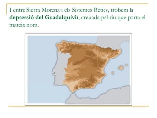 I entre Sierra Morena i els Sistemes Bètics, trobem la
depressió del Guadalquivir, creuada pel riu que porta el
mateix nom.
 