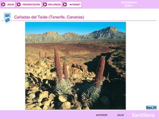 GEOGRAFÍA
TEMA 1RECURSOS INTERNETPRESENTACIÓN
Santillana
INICIO
SALIRSALIRANTERIORANTERIOR
Cañadas del Teide (Tenerife, Canarias)
Doc.31Doc.31
 