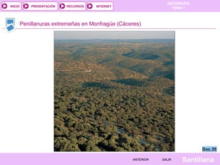 GEOGRAFÍA
TEMA 1RECURSOS INTERNETPRESENTACIÓN
Santillana
INICIO
SALIRSALIRANTERIORANTERIOR
Penillanuras extremeñas en Monfragüe (Cáceres)
Doc.35Doc.35
 