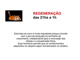 REGENERAÇÃO  das 21hs a 1h   Esta fase do sono é muito importante porque coincide  com o pico da produção do hormônio do  crescimento, indispensável para a renovação das  células e a recuperação física.  Esse hormônio permite que os conhecimentos  adquiridos na véspera sejam armazenados no cérebro.  