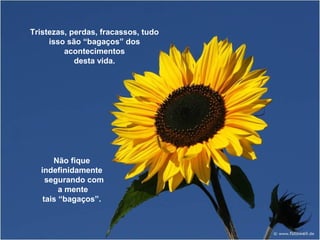 Tristezas, perdas, fracassos, tudo 
isso são “bagaços” dos 
acontecimentos 
desta vida. 
Não fique 
indefinidamente 
segurando com 
a mente 
tais “bagaços”. 
 