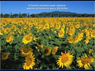 OO hhoommeemm ttaammbbéémm ppooddee rreeggiissttrraarr 
aappeennaass aass hhoorraass eemm qquuee oo SSooll bbrriillhhaa.. 
 