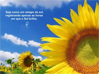 Seja como um relógio de sol, 
registrando apenas as horas 
em que o Sol brilha. 
 