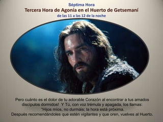 Tercera Hora de Agonía en el Huerto de Getsemaní
de las 11 a las 12 de la noche
Pero cuánto es el dolor de tu adorable Corazón al encontrar a tus amados
discípulos dormidos! Y Tú, con voz trémula y apagada, los llamas:
“Hijos míos, no durmáis; la hora está próxima.
Después recomendándoles que estén vigilantes y que oren, vuelves al Huerto.
Séptima Hora
 