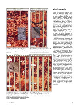 Awali Field SLB Report on Geological Reefs | PDF
