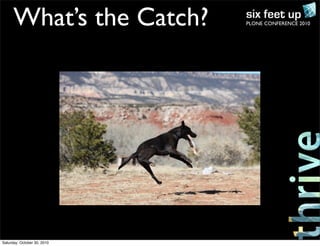 PLONE CONFERENCE 2010What’s the Catch?
Saturday, October 30, 2010
 