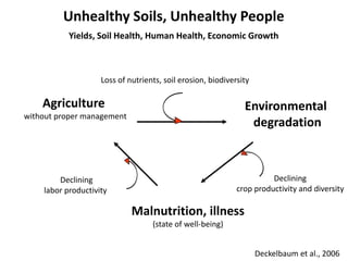 Unhealthy Soils, Unhealthy People
           Yields, Soil Health, Human Health, Economic Growth



                    Los...
