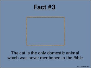 Bible