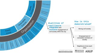 How to Build a Resilient City: The City Resilience Framework | PDF