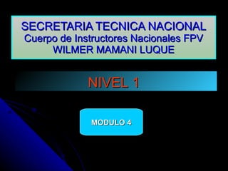 SECRETARIA TECNICA NACIONAL Cuerpo de Instructores Nacionales FPV WILMER MAMANI LUQUE NIVEL 1   MODULO 4 