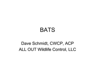 BATS
Dave Schmidt, CWCP, ACP
ALL OUT Wildlife Control, LLC

 