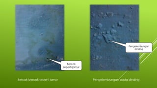 Bercak-bercak seperti jamur Pengelembungan pada dinding
Pengelembungan
dinding
Bercak
seperti jamur
 