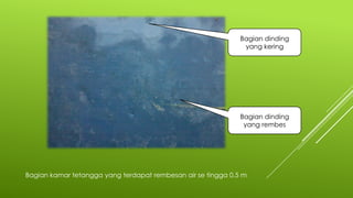 Bagian kamar tetangga yang terdapat rembesan air se tingga 0,5 m
Bagian dinding
yang kering
Bagian dinding
yang rembes
 