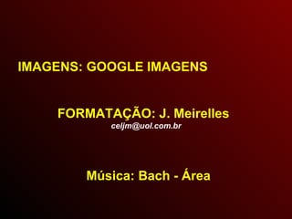 IMAGENS: GOOGLE IMAGENS FORMATAÇÃO: J. Meirelles [email_address] Música: Bach - Área   