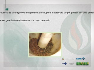 rocesso de trituração ou moagem da planta, para a obtenção do pó, passar em uma peneir
ve ser guardado em frasco seco e bem tampado.
 