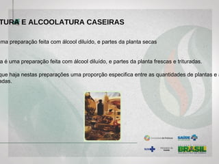 TURA E ALCOOLATURA CASEIRAS
uma preparação feita com álcool diluído, e partes da planta secas
a é uma preparação feita com álcool diluído, e partes da planta frescas e trituradas.
que haja nestas preparações uma proporção especifica entre as quantidades de plantas e á
adas.
 