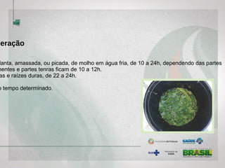 ceração
lanta, amassada, ou picada, de molho em água fria, de 10 a 24h, dependendo das partes u
mentes e partes tenras ficam de 10 a 12h.
as e raízes duras, de 22 a 24h.
o tempo determinado.
 