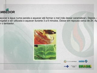AMBEDOR
açúcar e água numa panela e aquecer até formar o mel (não deixar caramelizar). Depois, c
vegetal a ser utilizada e aquecer durante 3 a 6 minutos. Deixar em repouso cerca de 2h. Ap
ar o lambedor.
 