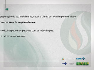 Ó
preparação do pó, Inicialmente, secar a planta em local limpo e ventilado.
r a erva seca da seguinte forma:
- reduzir a pequenos pedaços com as mãos limpas.
s e raízes - moer ou ralar.
 