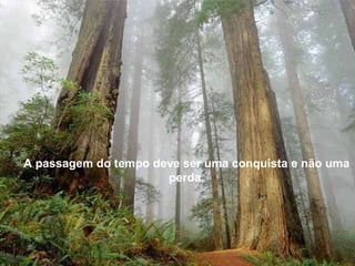 A passagem do tempo deve ser uma conquista e não uma perda. 