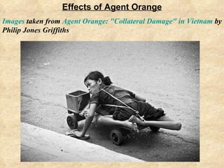 Effects of Agent Orange Images  taken from  Agent Orange: "Collateral Damage" in Vietnam  by Philip Jones Griffiths 