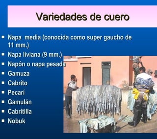 Variedades de cuero Napa  media (conocida como super gaucho de 11 mm.) Napa liviana (9 mm.) Napón o napa pesada Gamuza Cabrito  Pecarí Gamulán Cabritilla  Nobuk 