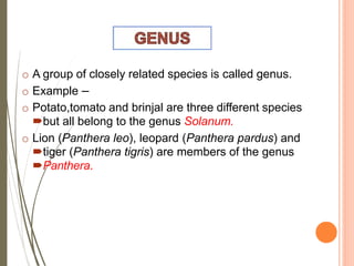 Remedial biology.pptx