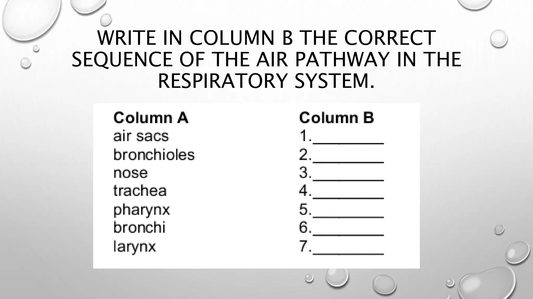 WRITE IN COLUMN B THE CORRECT
SEQUENCE OF THE AIR PATHWAY IN THE
RESPIRATORY SYSTEM.
 