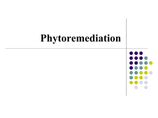 Phytoremediation
 
