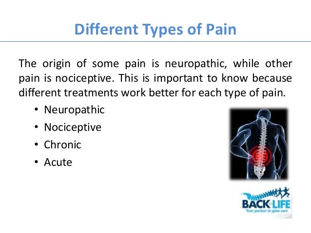 Remedies for back pain | back pain treatment - backtolife ...