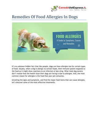 Remedies Of Food Allergies In Dogs
It’s no unknown hidden fact that like people, dogs can have allergies too for certain types
of food. Usually, when a dog is allergic to certain foods, their immune system responds to
the food as it might show reactions to an infection or bee sting. What most dog owners
don’t realize that the health issue their dogs are facing is due to allergies. And, the most
common reason for allergies is the food that your pet consumes.
Unveiling the signs and symptoms, and find the major food items that can cause allergies,
let’s discover some of the most effective treatments.
 
