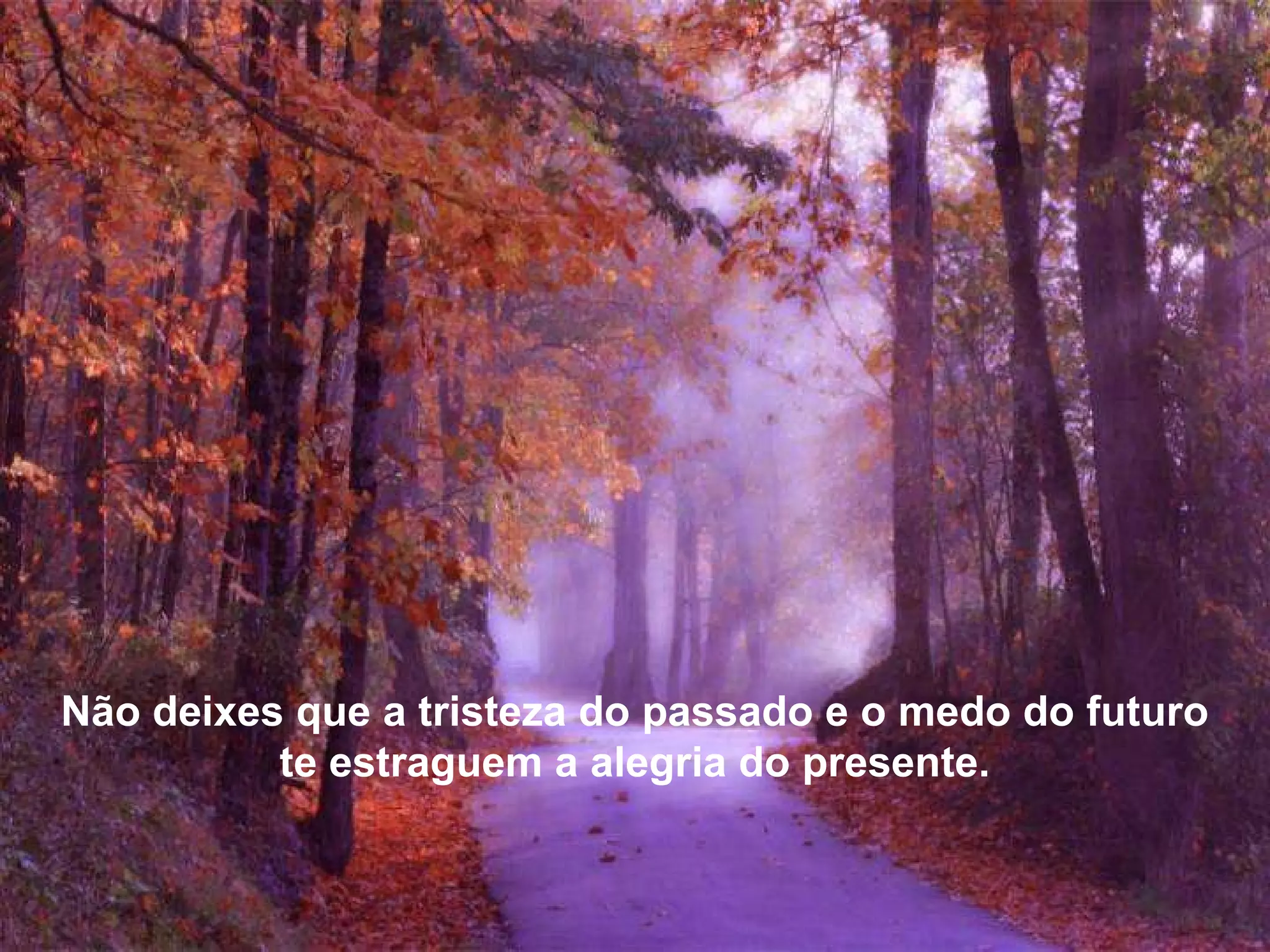 Não deixes que a tristeza do passado e o medo do futuro te estraguem a alegria do presente.