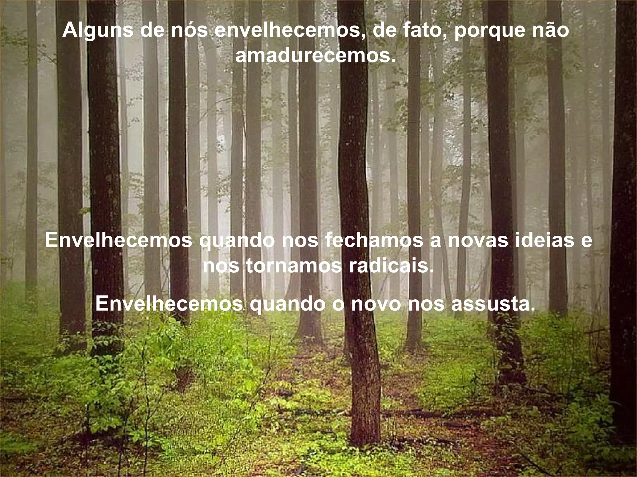 Alguns de nós envelhecemos, de fato, porque não amadurecemos. Envelhecemos quando nos fechamos a novas ideias e nos tornamos radicais. Envelhecemos quando o novo nos assusta.
