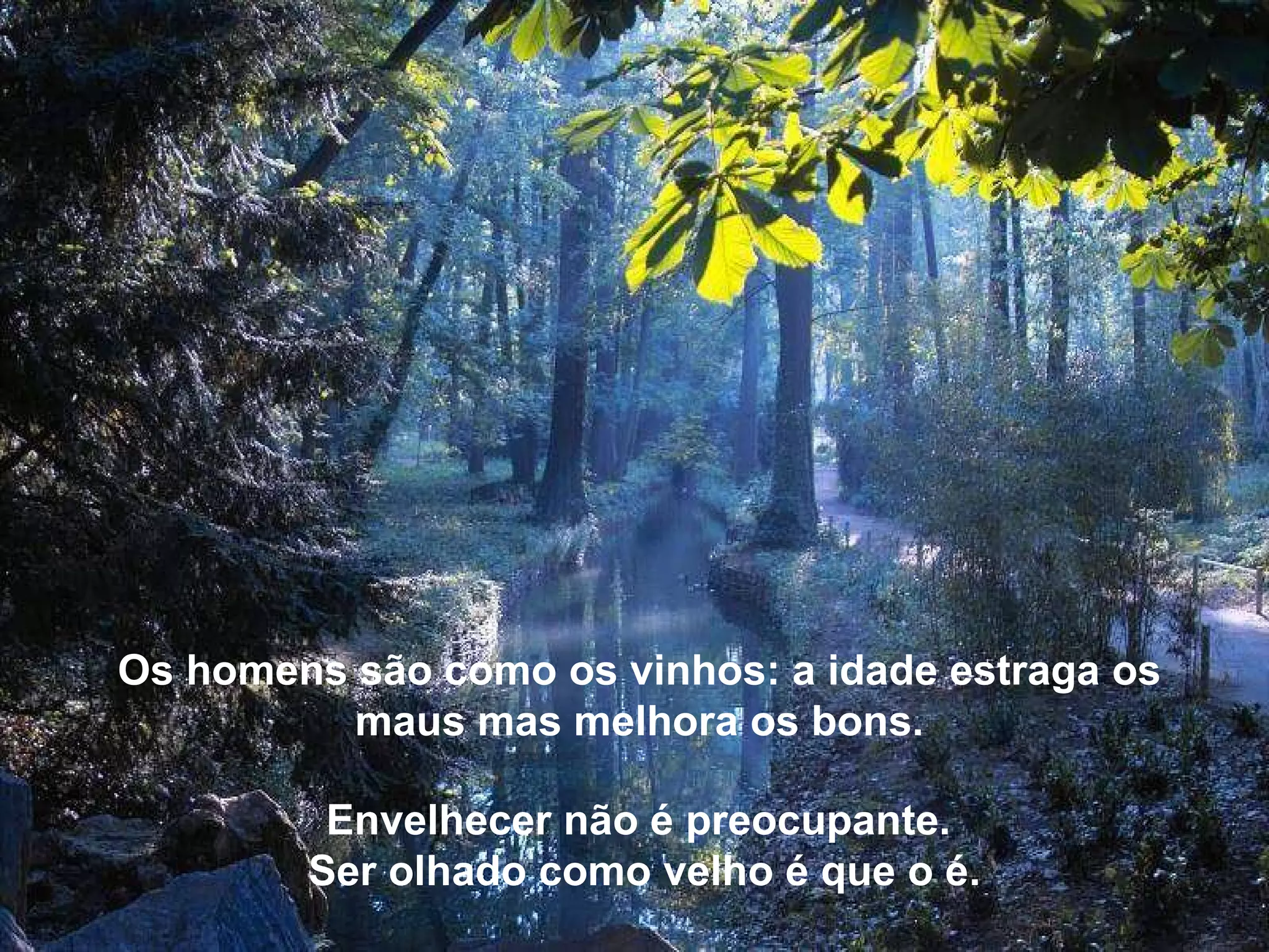 Os homens são como os vinhos: a idade estraga os maus mas melhora os bons. Envelhecer não é preocupante. Ser olhado como velho é que o é.